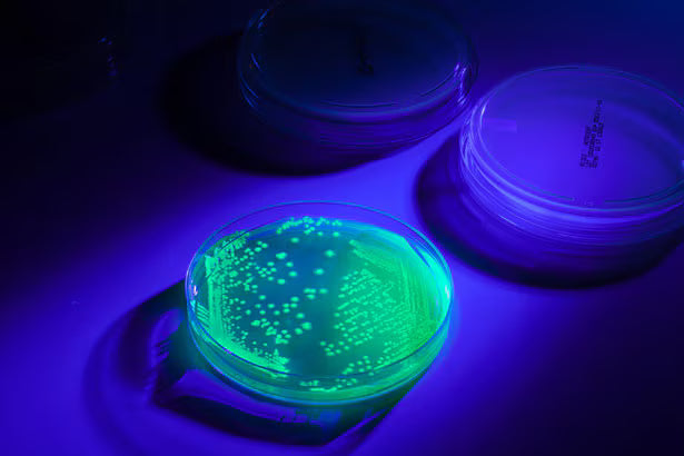 UV-BioTAG™ Vial