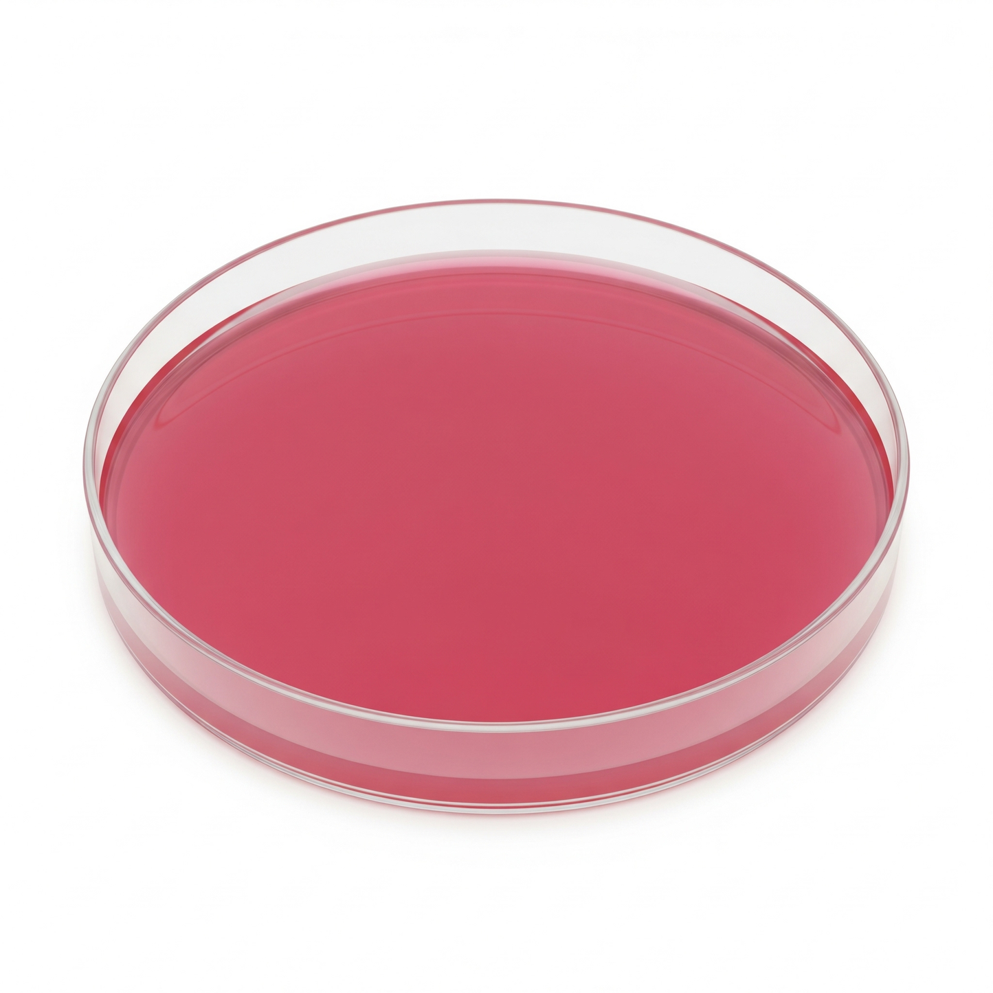 Salmonella Shigella (SS) Agar Plate 10/pk
