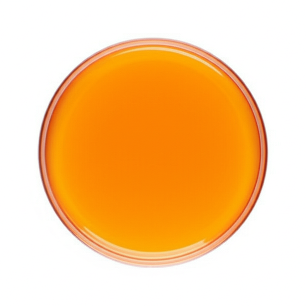 DTM Agar Plate 10/pk