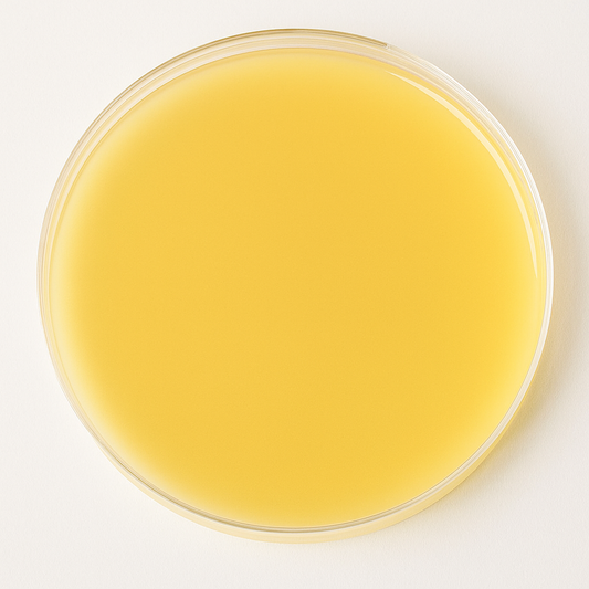 Baird Parker Agar Plate 10/pk