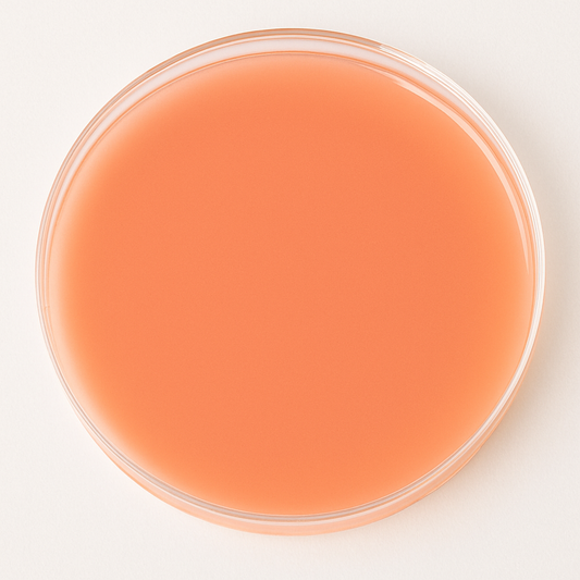 MYP Agar Plate 10/pk
