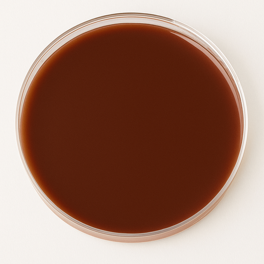 Chocolate Agar Plate 10/pk