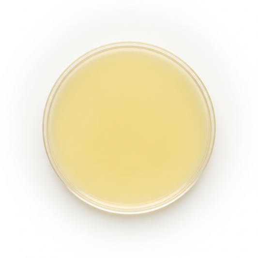 MRS Agar Plates, 10/Pack
