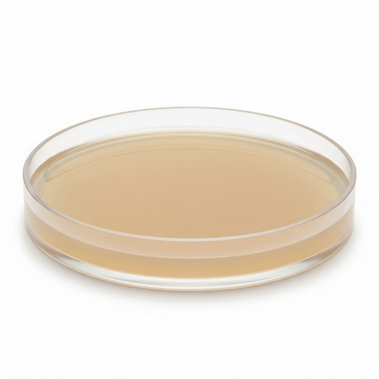 Nutrient Agar w/ 20% Salt 10/PK