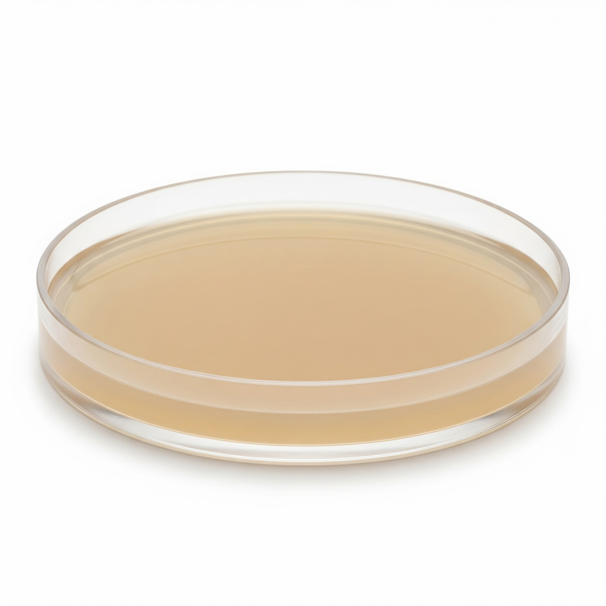 556178_5 556178_5