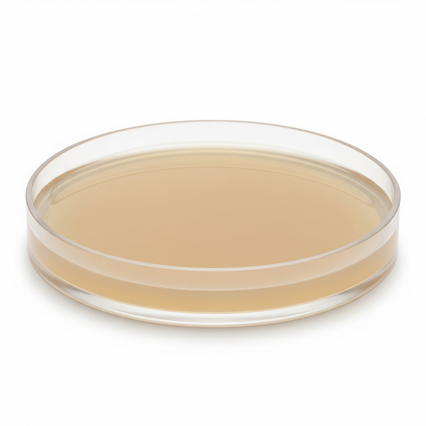 Nutrient Agar Plate 10/pk