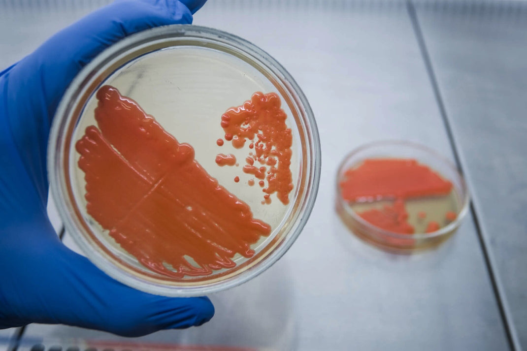 Edge Biologicals